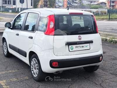 Fiat Panda FIAT Panda 1.2 Easy Bianco usata Aprilia