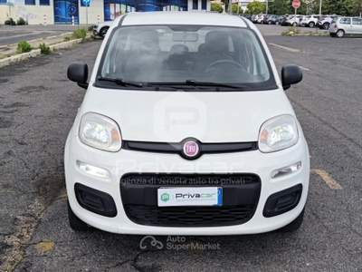 Fiat Panda FIAT Panda 1.2 Easy Bianco usata Aprilia