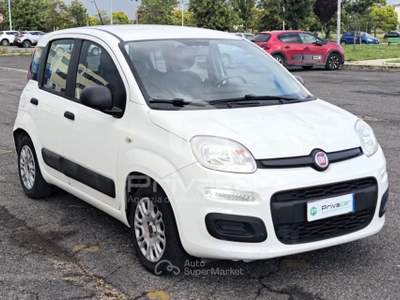 Fiat Panda FIAT Panda 1.2 Easy Bianco usata Aprilia