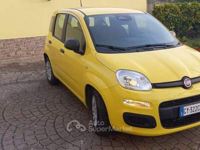 Fiat Panda 1.0 FireFly S&S Hybrid+Pack City Giallo usata Cappelle sul Tavo