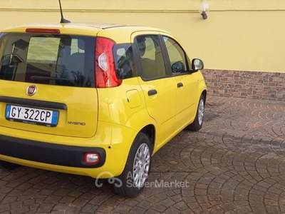 Fiat Panda 1.0 FireFly S&S Hybrid+Pack City Giallo usata Cappelle sul Tavo