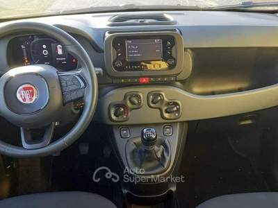 Fiat Panda 1.0 FireFly S&S Hybrid+Pack City Giallo usata Cappelle sul Tavo