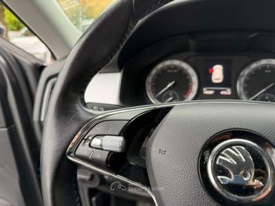 Skoda Kodiaq 2.0 TDI EVO SCR DSG 7 posti Style Grigio usata Oderzo