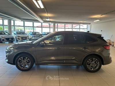 Ford Kuga 1.500 BENZINA 150 CV ST-LINE X Grigio usata Alba