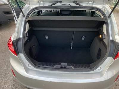 Ford Fiesta 1.0 Ecoboost 95 CV 5 porte Business Argento usata Manocalzati