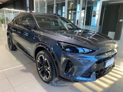 Cupra Formentor 2.0 TDI DSG Grigio usata Fossombrone