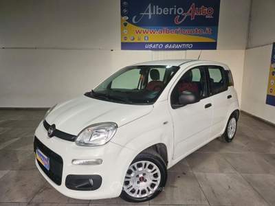 Fiat Panda 1.2 Easy Bianco usata ADRANO