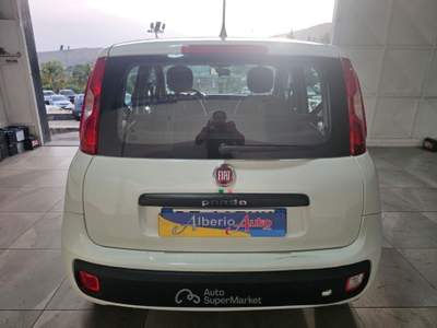 Fiat Panda 1.2 Easy Bianco usata ADRANO