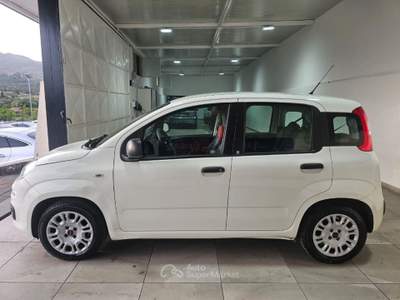 Fiat Panda 1.2 Easy Bianco usata ADRANO