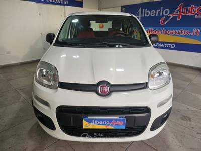 Fiat Panda 1.2 Easy Bianco usata ADRANO