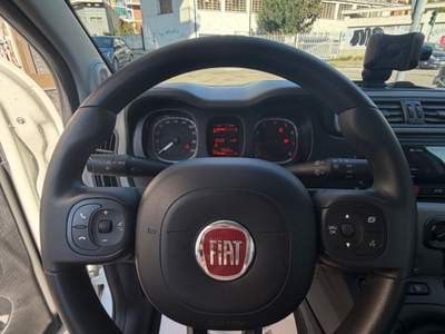 Fiat Panda FireFly S&S Hybrid City Cross Bianco usata Moncalieri