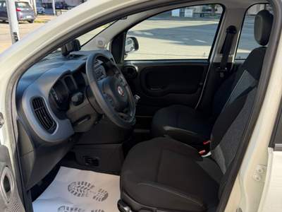 Fiat Panda FireFly S&S Hybrid City Cross Bianco usata Moncalieri