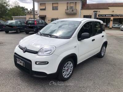 Fiat Panda unico proprietario, sempre tagliandata Bianco usata BORGOSESIA Fiat Panda unico proprietario, sempre tagliandata Bianco usata BORGOSESIA