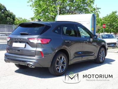 Ford Kuga 2.5 phev ST-Line X 2wd 190cv Grigio usata Cesena