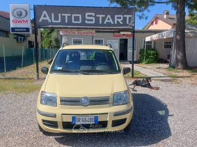 Fiat Panda Dynamic Giallo usata SANT'AGATA SUL SANTERNO