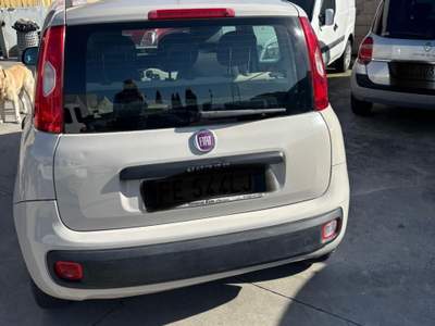 Fiat Panda Lounge neo patentato usata Livorno