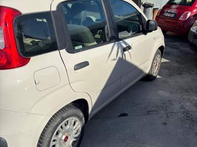 Fiat Panda Lounge neo patentato usata Livorno