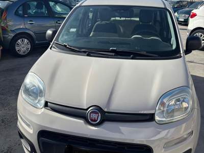 Fiat Panda Lounge neo patentato usata Livorno