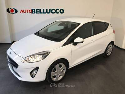 Ford Fiesta 1.1 85 CV 5p. Plus Bianco usata Casalserugo