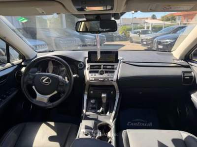 Lexus NX Hybrid 4WD Premium Grigio usata Sesto San Giovanni