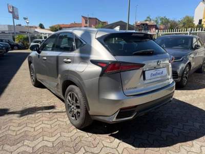 Lexus NX Hybrid 4WD Premium Grigio usata Sesto San Giovanni
