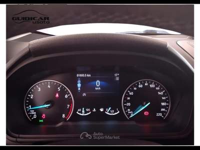 Ford EcoSport 1.0 EcoBoost Business Bianco usata Lucca