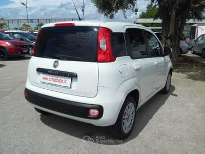 Fiat Panda 80 CV S&S Easy Bianco usata Qualiano
