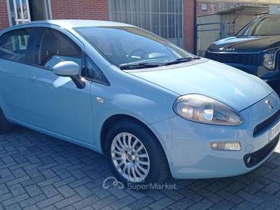 Fiat Punto 5p 1.3 mjt 16v Street 75cv Blu/Azzurro usata Ciriè