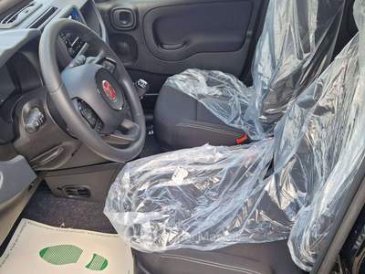 Fiat Panda Pandina 1.0 firefly hybrid Icon PREZZO REALE Nero usata Ciriè