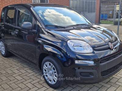 Fiat Panda Pandina 1.0 firefly hybrid Icon PREZZO REALE Nero usata Ciriè