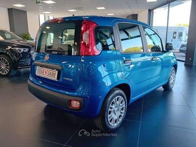 Fiat Panda 1.0 FireFly S&S Hybrid Pandina Blu/Azzurro usata Spinea