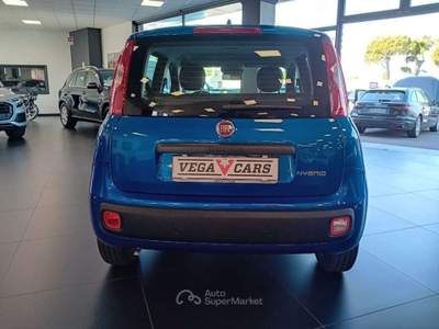 Fiat Panda 1.0 FireFly S&S Hybrid Pandina Blu/Azzurro usata Spinea