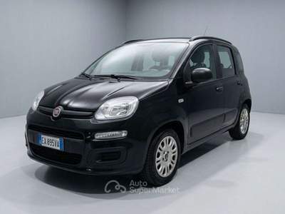 Fiat Panda Panda 1.2 easypower Easy Gpl 69cv usata Cassinetta di Lugagnano