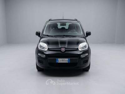 Fiat Panda Panda 1.2 easypower Easy Gpl 69cv usata Cassinetta di Lugagnano