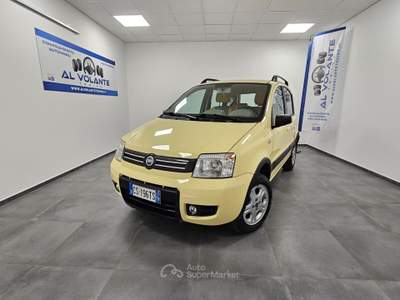Fiat Panda 1.2 4x4 Climbing - NeoPatentati Giallo usata TORINO