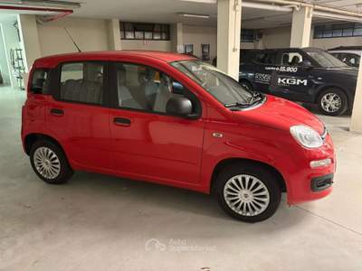 Fiat Panda 1.2 69cv E6 Lounge Rosso usata Ciriè