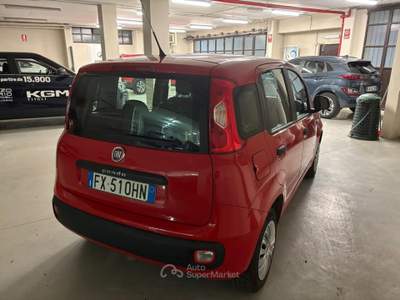 Fiat Panda 1.2 69cv E6 Lounge Rosso usata Ciriè