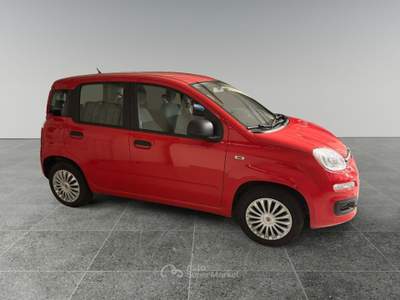 Fiat Panda 1.2 69cv E6 Lounge Rosso usata Ciriè