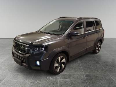 SWM G03F 1.5 PHEV eCVT Super Hybrid Verde usata Ciriè