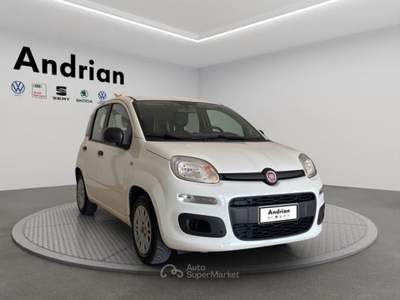 Fiat Panda Panda 1.2 Easy Connect easypower Gpl 69cv Bianco usata San Martino Buon Albergo