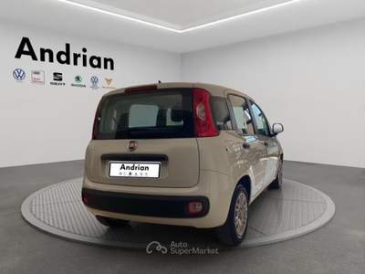 Fiat Panda Panda 1.2 Easy Connect easypower Gpl 69cv Bianco usata San Martino Buon Albergo