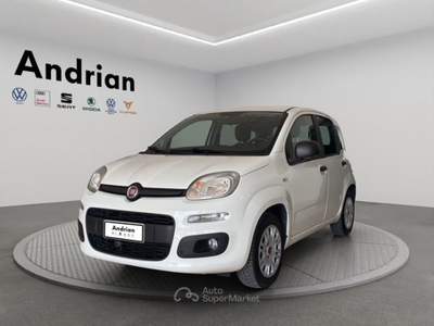Fiat Panda Panda 1.2 Easy Connect easypower Gpl 69cv Bianco usata San Martino Buon Albergo