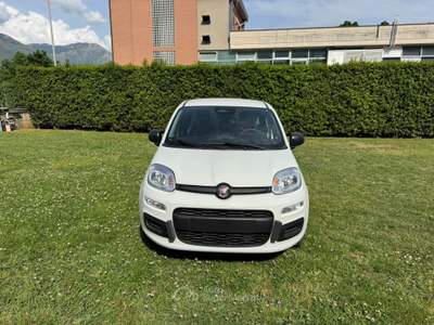 Fiat Pandina 1.0 65cv hybrid icon Bianco usata Fisciano