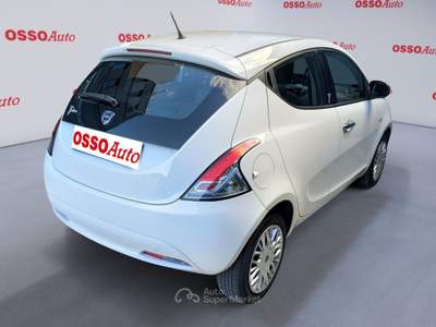 Lancia Ypsilon 1.2 BENZINA 69 HP GOLD NEOPATENTATI Bianco usata Udine