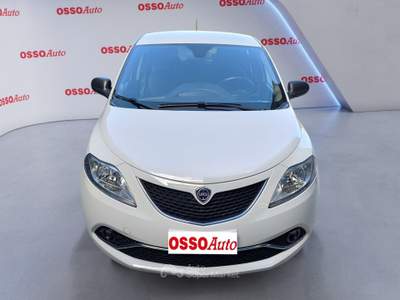 Lancia Ypsilon 1.2 BENZINA 69 HP GOLD NEOPATENTATI Bianco usata Udine