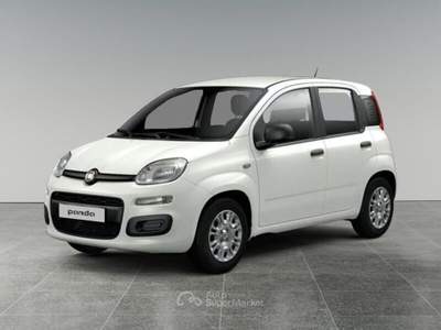 Fiat Panda 1.0 FireFly S&S Hybrid Bianco usata Varedo