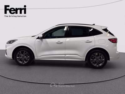 Ford Kuga 2.5 full hybrid ST-Line 2wd 190cv cvt Bianco usata Cesena
