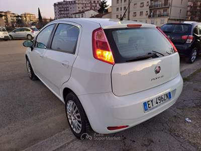 Fiat Punto 1.4 GPL Bianco usata Scandicci