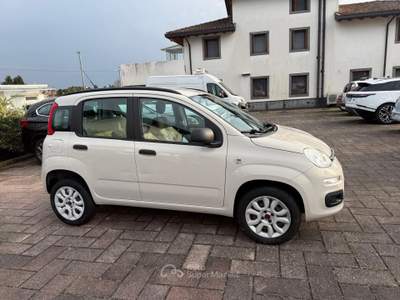 Fiat Panda - metano Grigio usata Scandicci