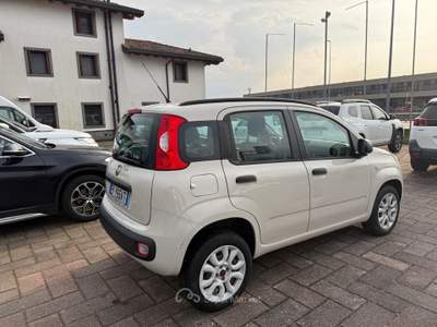 Fiat Panda - metano Grigio usata Scandicci